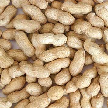 Groundnut Kernels