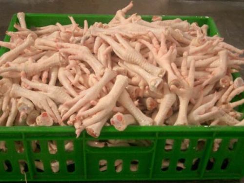 Chicken Feet, Protein : 70 Gm / 100 Gram