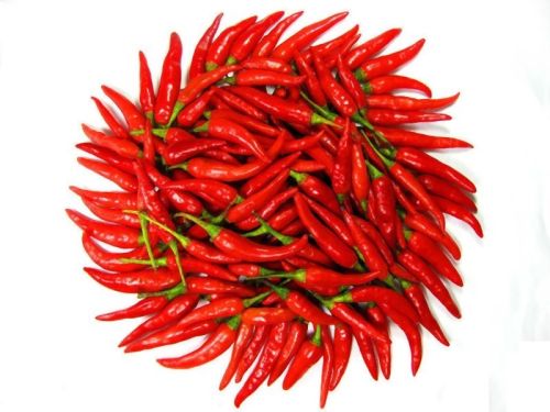 Red Pepper