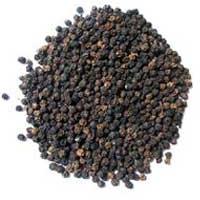 Black Pepper Seeds