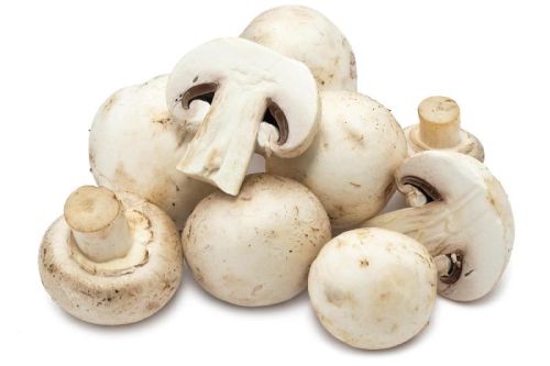 Common Button Mushroom, For Cooking, Oil Extraction, Color : Creamy