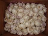 Onions, Packaging Size : 50Kg