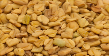 Fenugreek, Purity : 99%, 99.50%, 99.90%