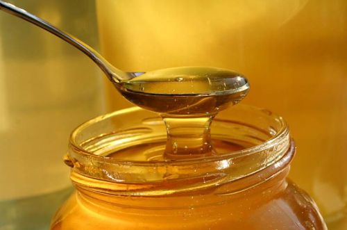 Pure honey, Packaging Size : 25gm-1kg