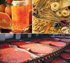 Electric Automatic Food Processing Machines, Voltage : 110V