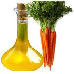 Carrot Seed Oil, Scent : Earthy, Herbaceous