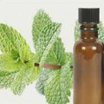 Mentha Citrata Oil, For Cooking, Medicine, Certification : ISO 9001-2008 Certified
