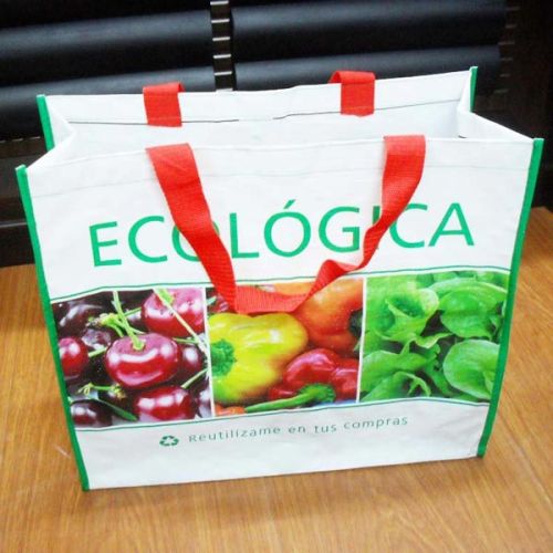 Non Woven Bags