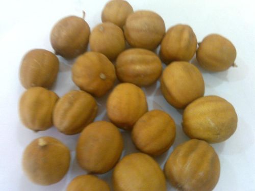 Planting trees Yellow Dry Lemon, Brand Name : higazegroup