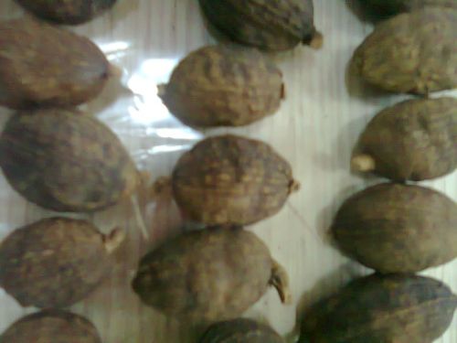 Black cardamom, Brand Name : Dong Duong Food