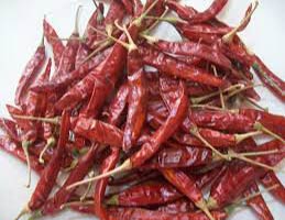 Guntur Dry Red Chilli