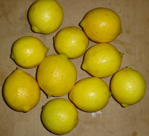 SMaTrading Lemon, Packaging Type : Yellow