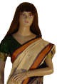 COTTON Handloom Saree