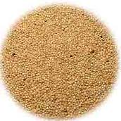 Amaranth Food Color