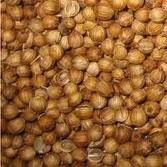 Coriander Seed Oil