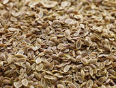 RSI Dill Seed Oil, Packaging Type : 01 KG., 05 KG., 10 KG, 25 KG., 50 KG., 75 KG.100 KG, 200 KG