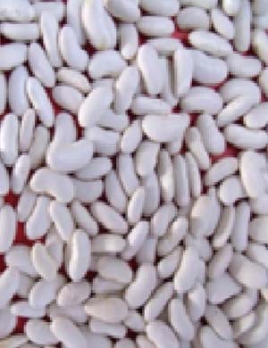 White Kidney Beans