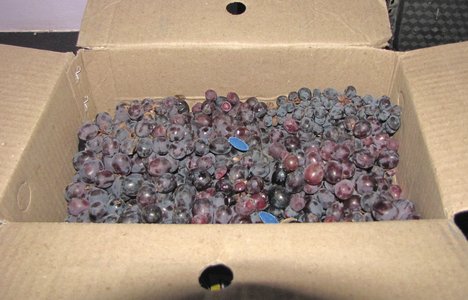 Black Grapes