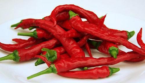 Fresh Red Chilli