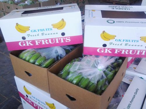 Fresh Cavendish Banana