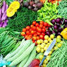 Indian Fresh Vegetables