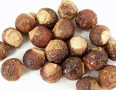 Soap Nuts