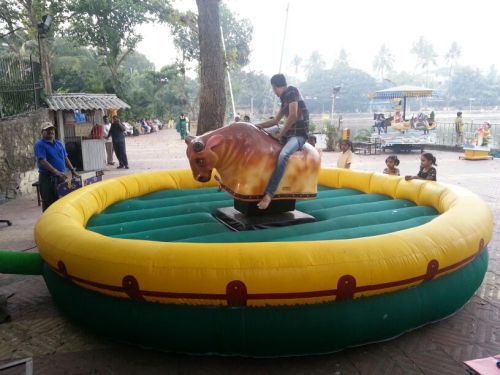 Bull Ride