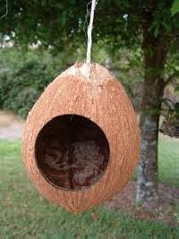 Coconut Shell Bird House, Feature : Fine Finish