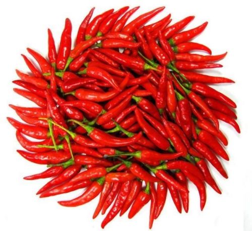 Red Chilli Sauce