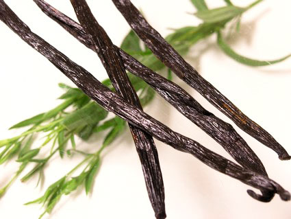 Vanilla Beans