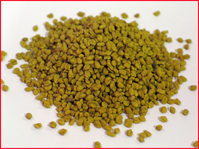 Fenugreek seed