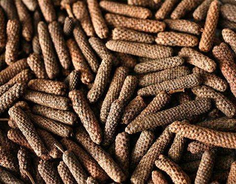 Long Pepper