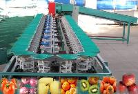 VMT Apple Grading Machine