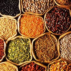 Indian Pulses