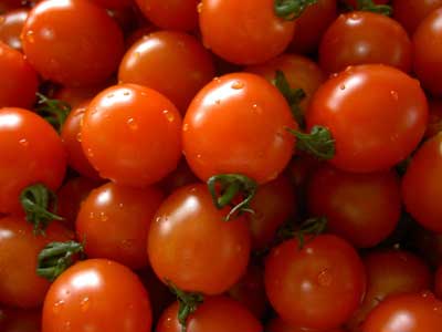 Fresh Tomatoes, Packaging Type : Net Bag, Plastic Crates