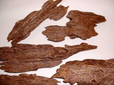 Agarwood Oil