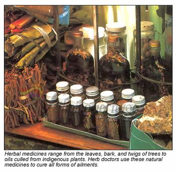 Herbal Medicines