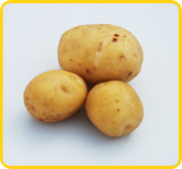 Hermes Potato