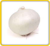 White Onions