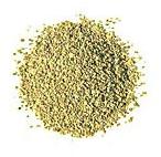 Celery Seeds