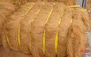 Coconut Fibre