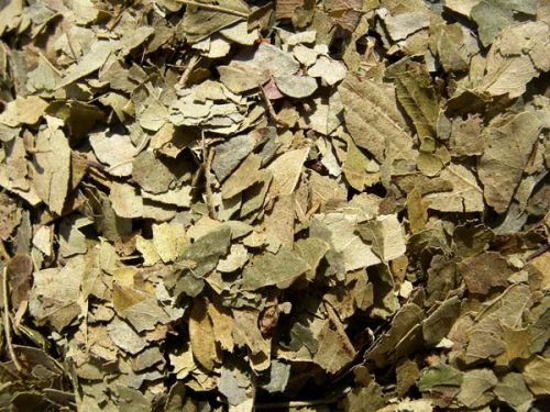 Dried Curry Leaves