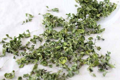 Dried fenugreek leaves