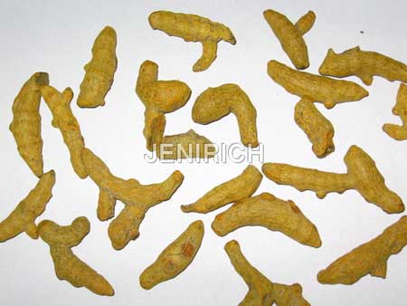 Turmeric Finger