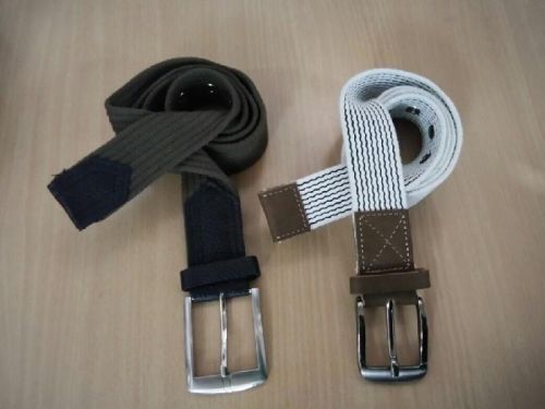 Polyester Canvas Webbing Belt, For Lifting Pulling, Length : 1-5mtr