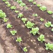 Drip Irrigation System