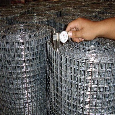 Galvanized Welded Wire Mesh