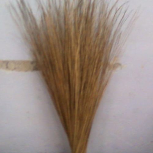 Plain Coconut Broom Sticks, Length : 100-150 Cm
