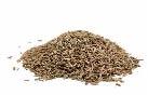 Cumin Seeds