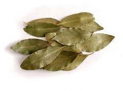 Dried Bay Leaf